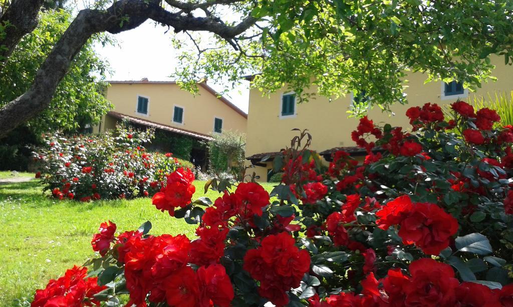 Casa Vacanze Casa Italia Лампорекио Екстериор снимка
